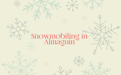 Snowmobiling in Almaguin￼