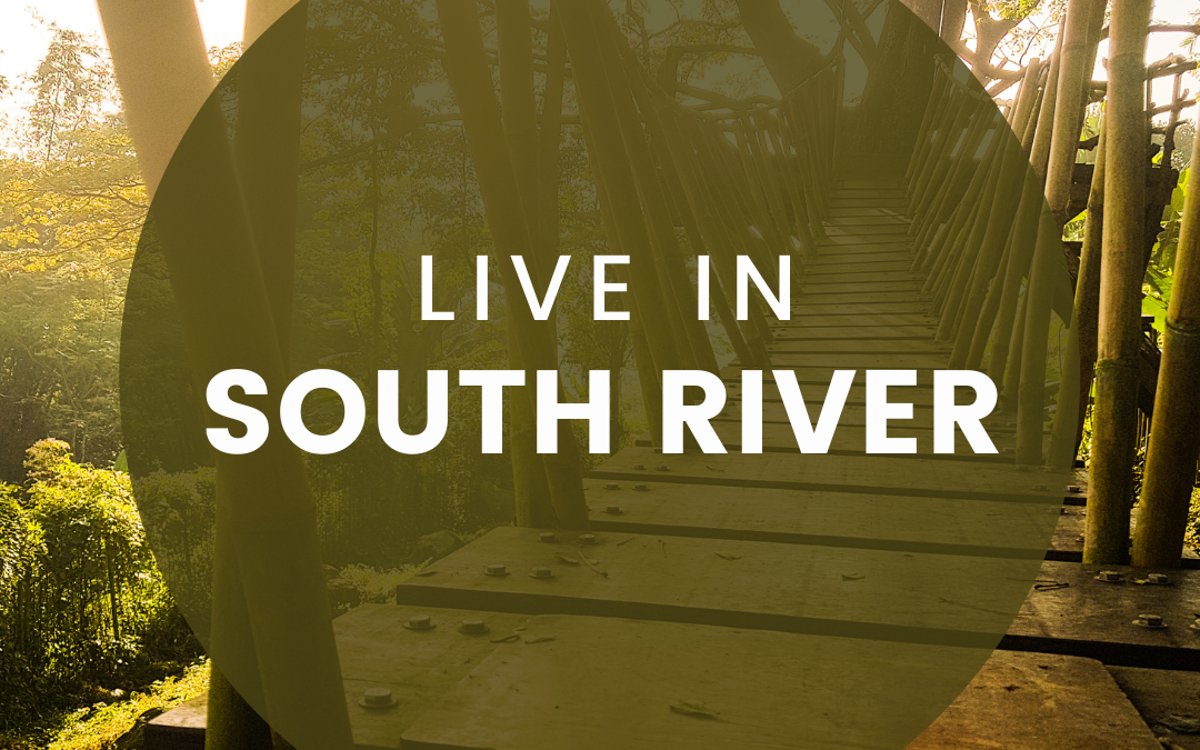 Why Live in South River?