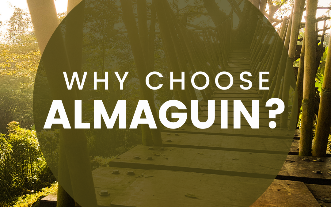 Why Choose to Live in the Almaguin Highlands?